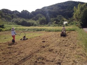 11.18(土)13:00-17:00 実験農場づくり